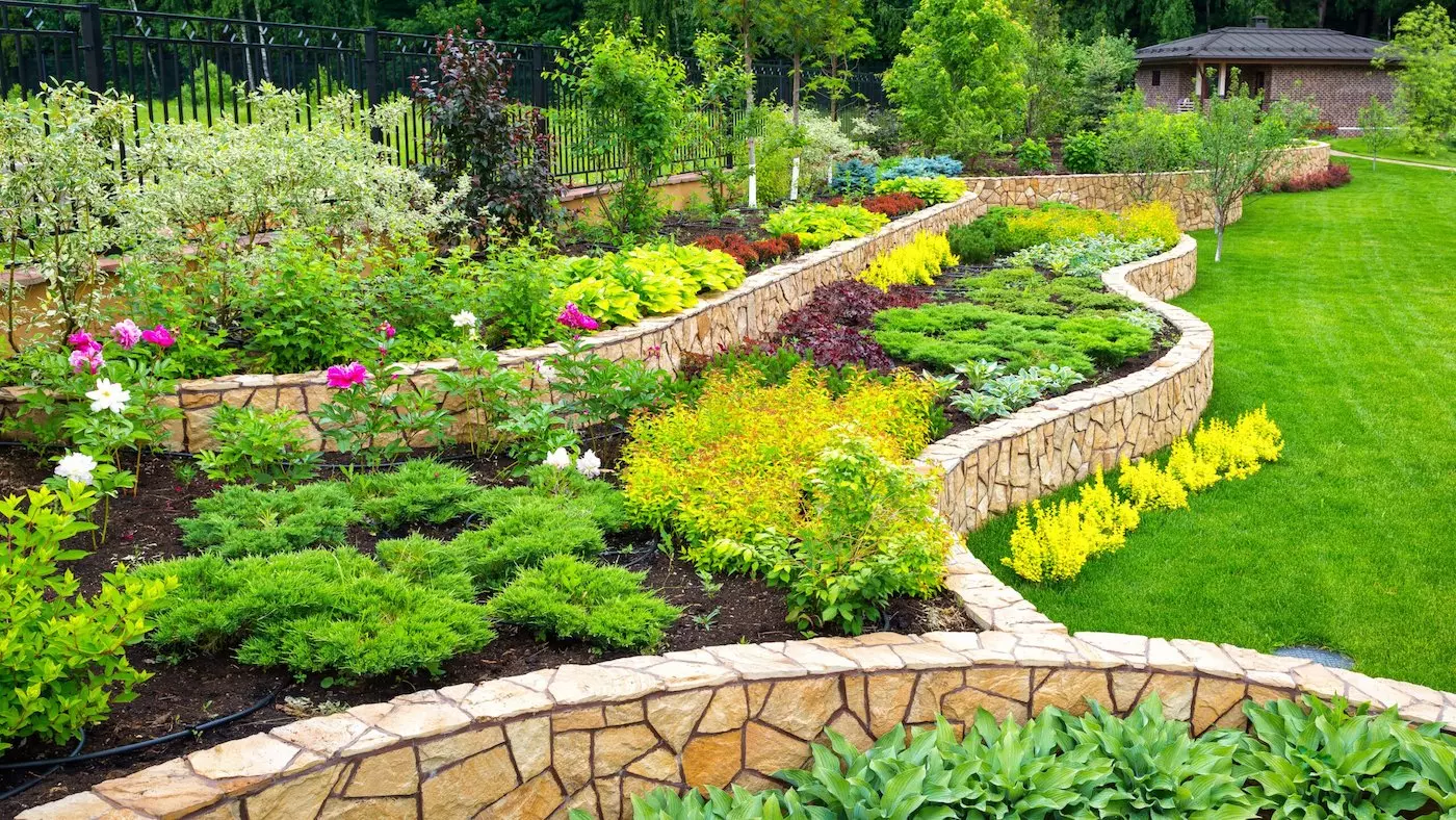 Ein Garten mit mehreren Blumenbeeten