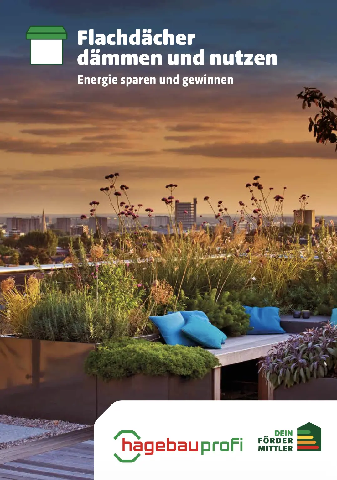 Fachblatt Flachdach energetische Sanierung 2026